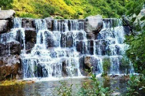 人类只有3万天寿命,灯塔水母为什么能永生?-专业问答社区